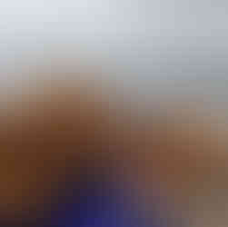 Our Golden Retriever explorers, Walter and Arthur, pose by the rocky shore of Loch Ness. Overcast sky and distant hills in the background.