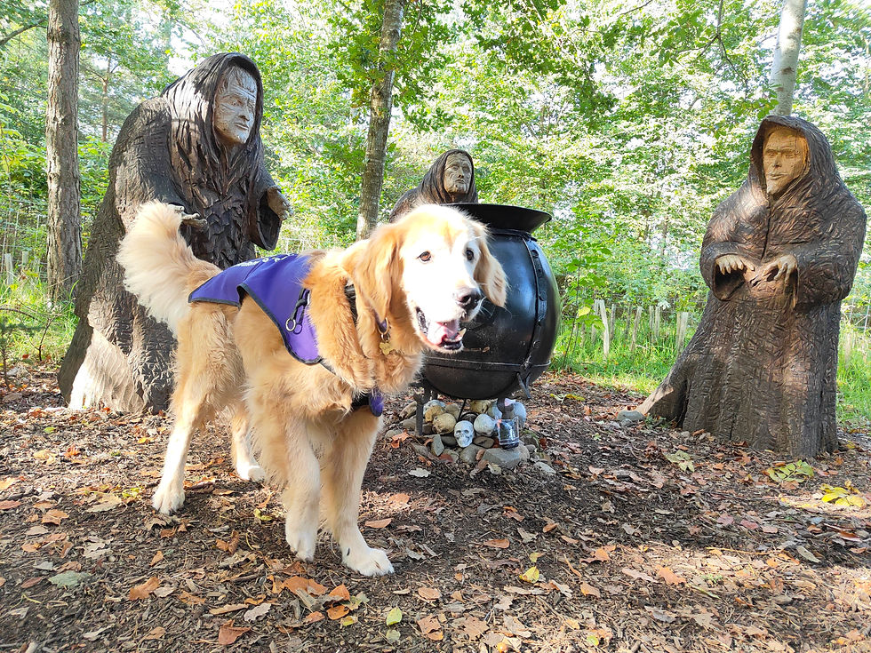 Just playing it cool and trying not to attract the attention of the witches' coven as I pass through.