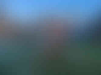 Our Golden Retriever explorers, Arthur (dressed as a reindeer) and Walter (dressed as Santa) stand on frosty grass in front of a large historic house, Traquair House. Clear sky and bare trees background.