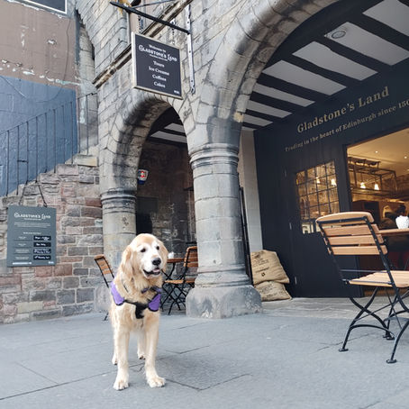 Gladstone's Land: Trading in Edinburgh Since 1501