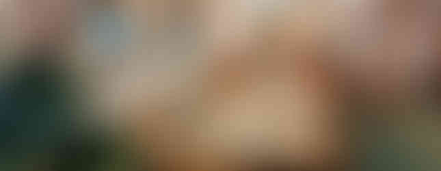 Festive dining room with a long wooden table set for a meal, Christmas tree in foreground, green curtains, and framed photos on walls. Cosy ambiance.