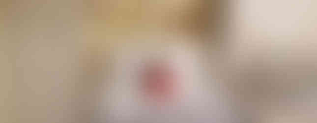 Plush dog in red sweater on a ship's hospital bed with patterned blanket. Locker, framed photo, "ENGAGED" sign, and chair in room. Cosy setting.