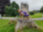 Our Golden Retriever explorers, Walter and Arthur, are both standing on a very large tree stump. They are facing away from the camera. They are surrounded by green grass with trees and Castle Fraser in the background.