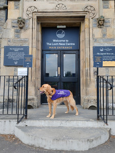 Our Golden Retriever explorer, Walter, stands at The Loch Ness Centre entrance. Stone building with signs. Calm and welcoming mood.