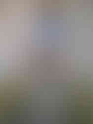 Rustic wooden door of chapel at Drum Castle with ornate black hinges set in a stone wall. Moss grows around weathered stone steps, adding a timeless feel.