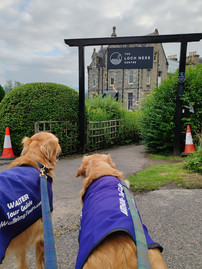 Our Golden Retriever explorers, Walter and Arthur, face a building labelled "The Loch Ness Centre" surrounded by greenery and cloudy sky.
