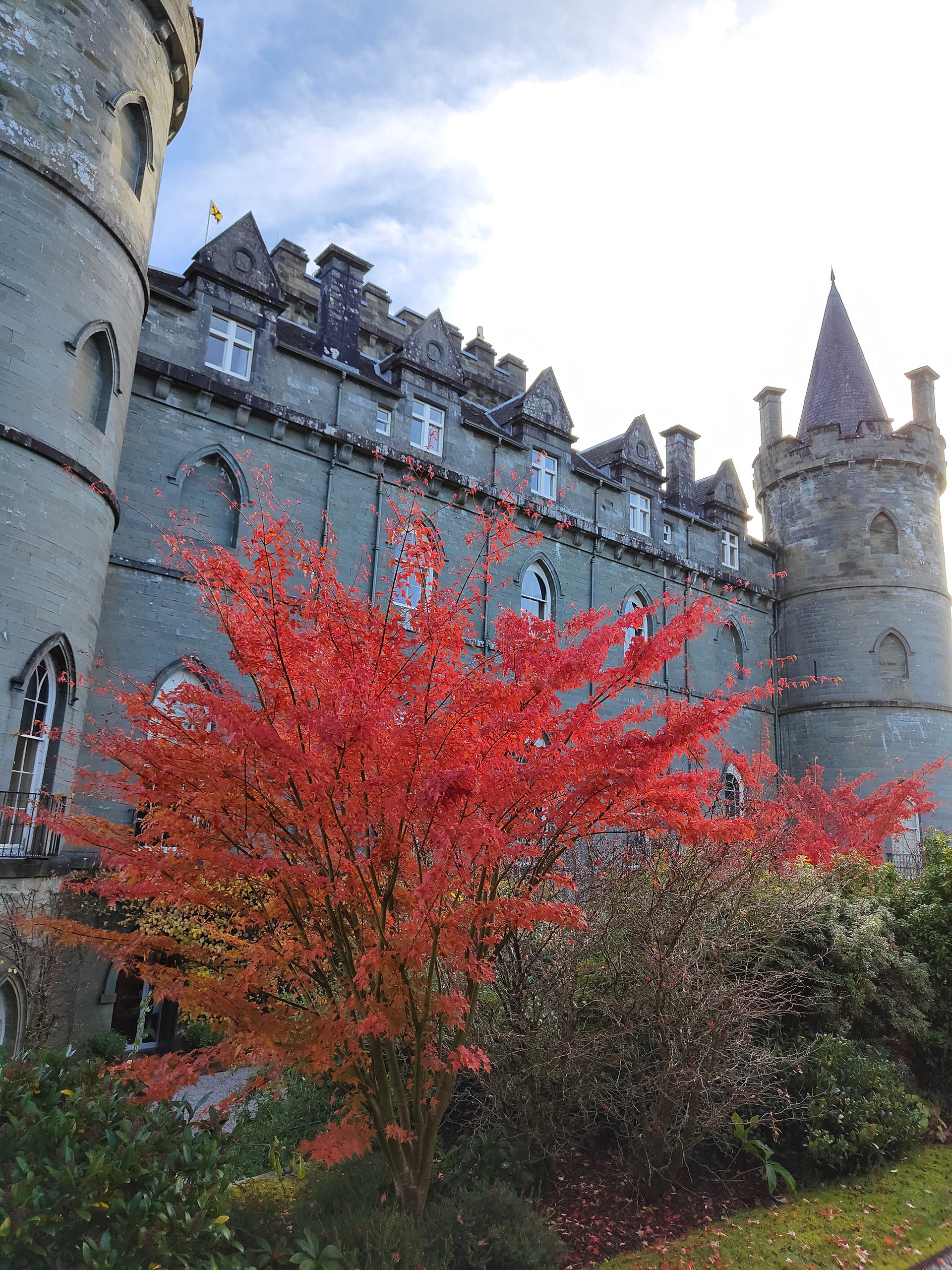 Inveraray Castle with stone towers under a bright sky, red-orange tree in foreground. Lush green bushes add contrast, creating a serene atmosphere.