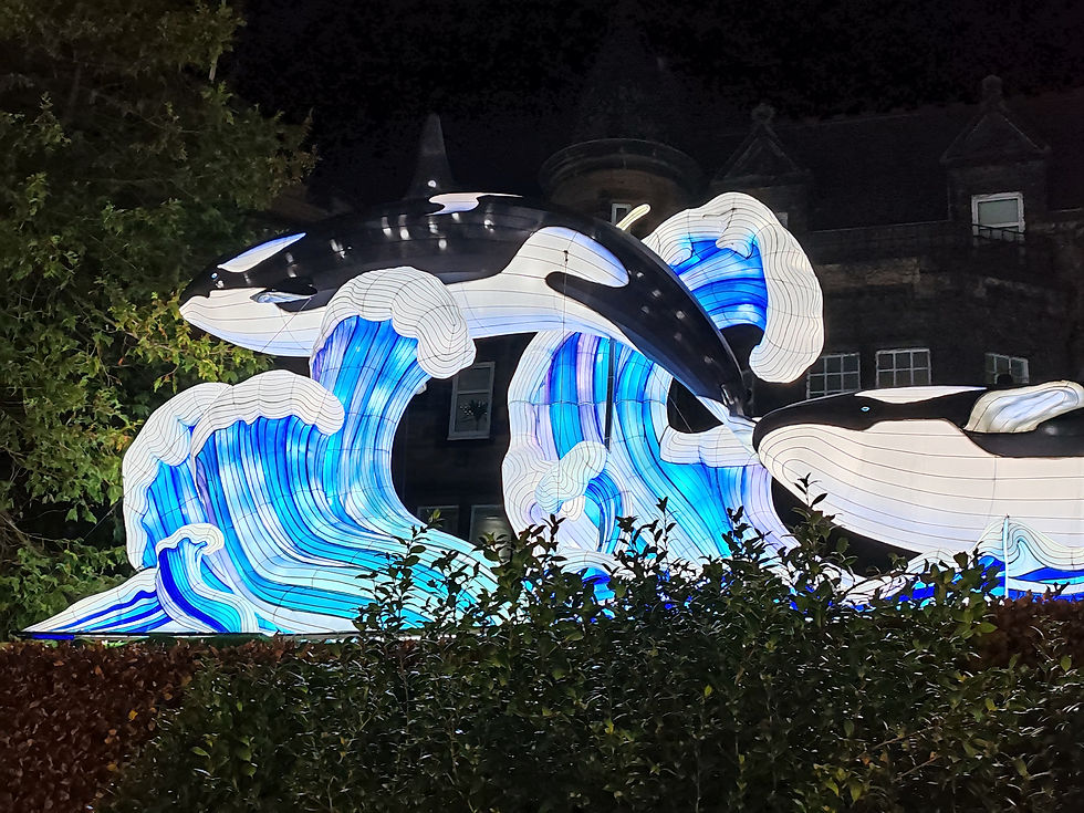 Illuminated orca lanterns leap over glowing blue waves at night, in front of a dark building and trees. Vibrant, lively display.