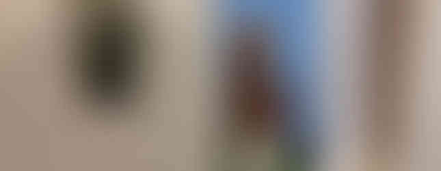 Bust of Sir Walter Scott with a red scarf, seen through a doorway. Wall sconce with greenery and berries. Text beneath bust. Warm, cosy setting.