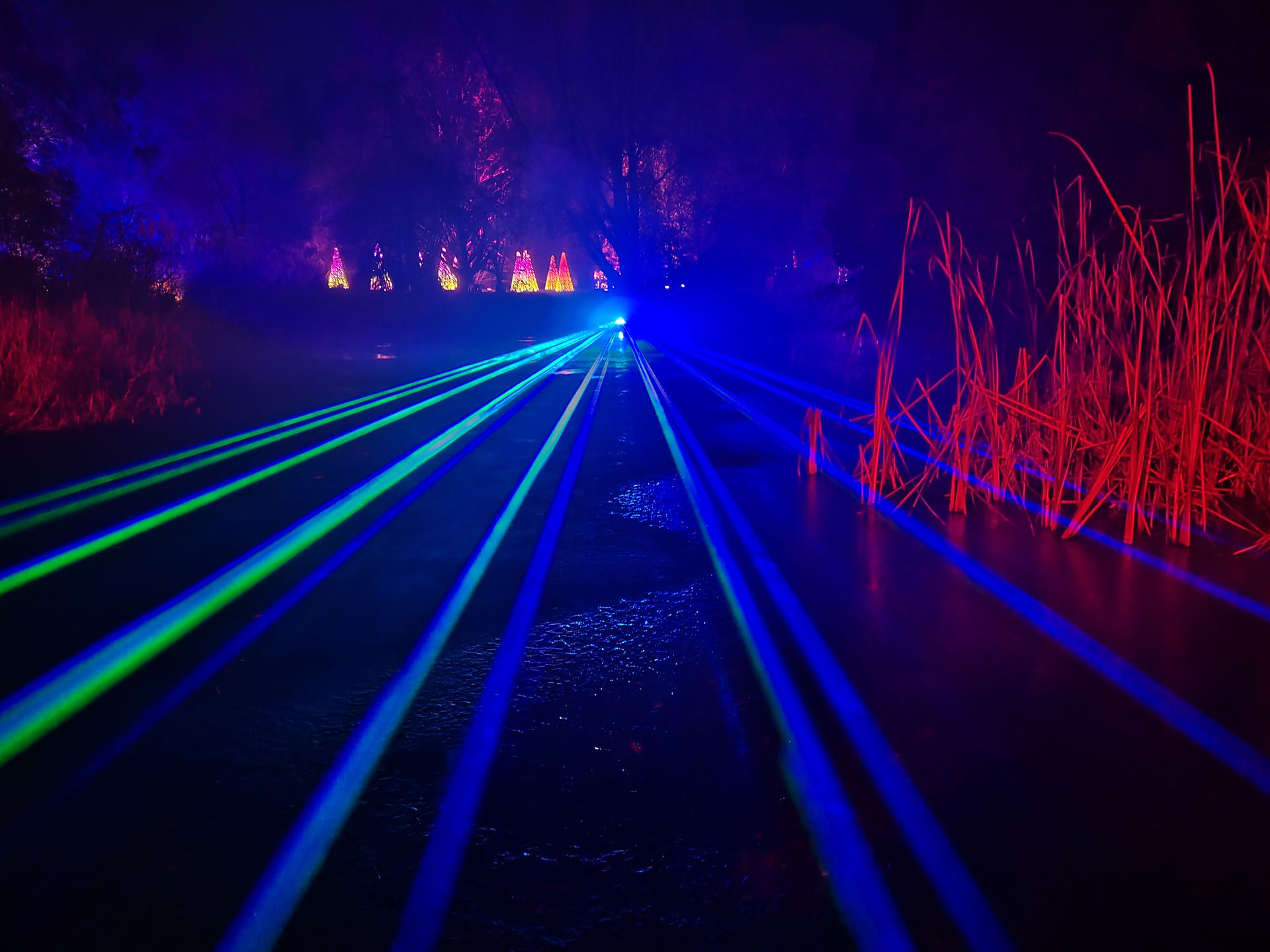 Blue and green laser beams stretch across an icy pond with red-lit grass, under a purple sky, creating a surreal, otherworldly scene.