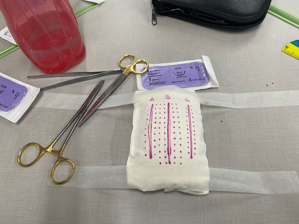 Taller de Suturas