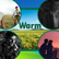 Warm