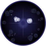 DHHUI-2 (1)-08.png