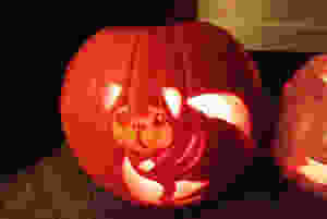 Pug Carved Pumpkin Jack O' Lantern