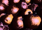 pumpkin%20print%203.jpg
