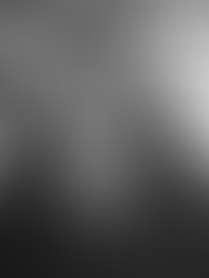 Tonia Suzette LaDonna Vansant