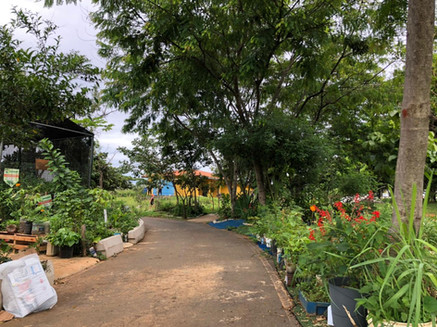 Caminho em diração ao viveiro dentro do parque