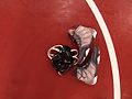 Wrestling Gear