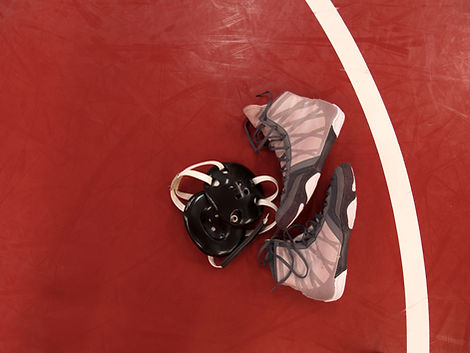 Wrestling Gear