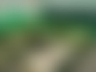 Extienden suspensión de docencia a toda la República Dominicana
