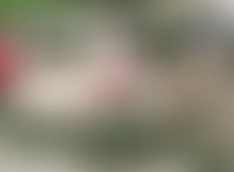 Comienzan los gritos en SFM por rumor de posible aumento de pasaje