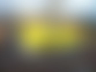 Comienza esta noche torneo de beisbol invernal de R. Dominicana