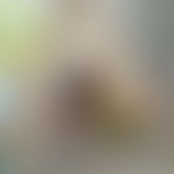 kids reading under a tent