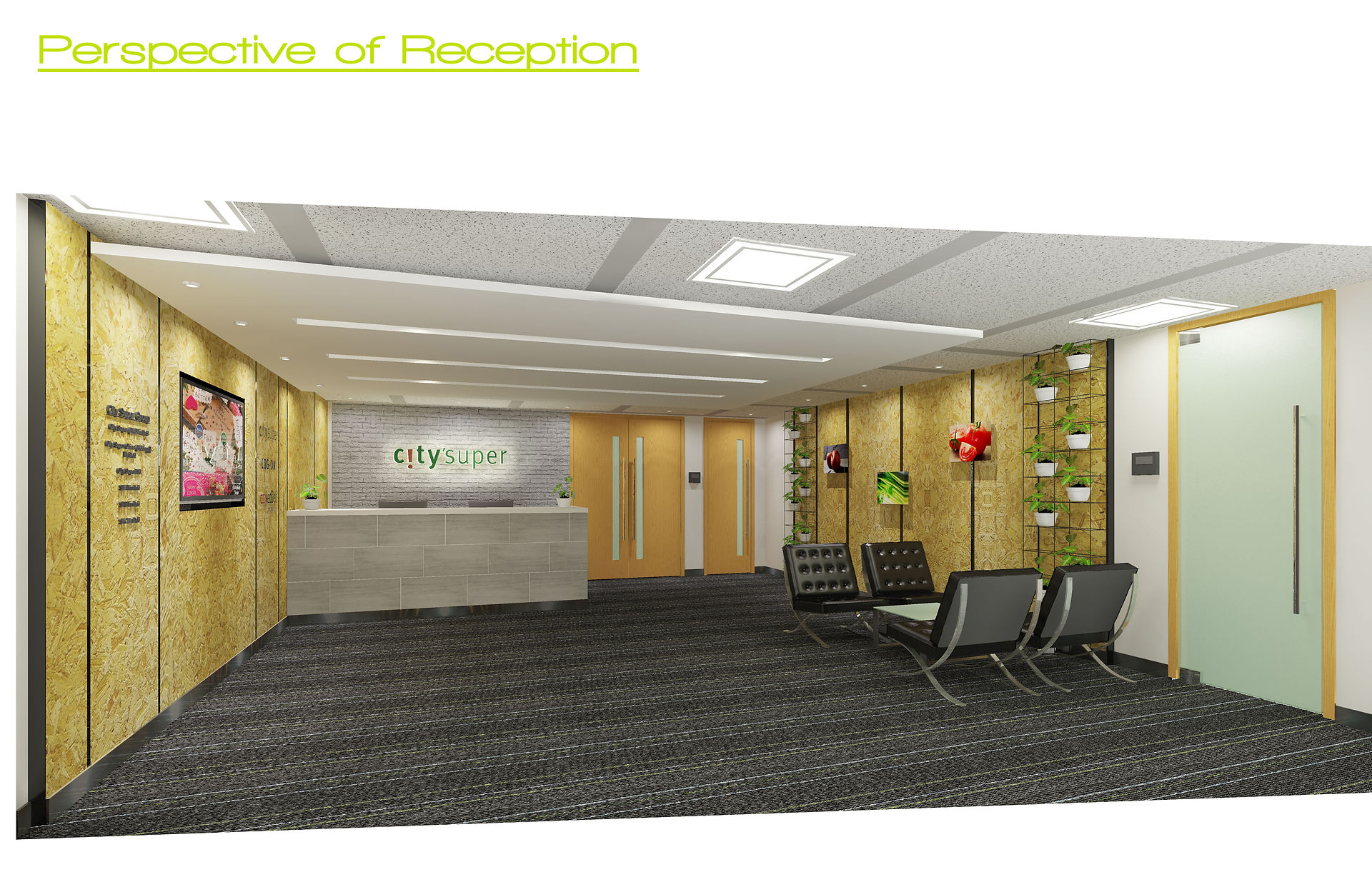 18a_Perspective of reception