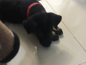 New team member!!