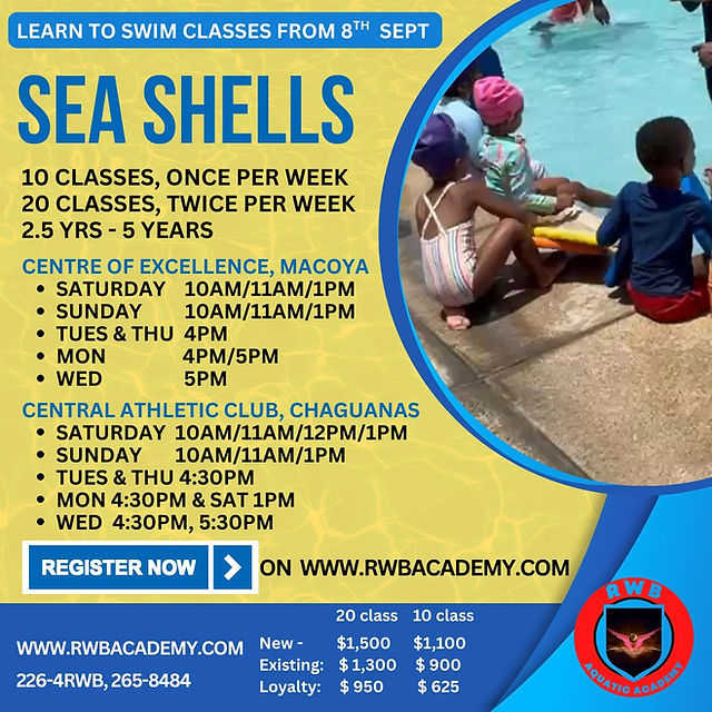 2025_SeaShells.jpeg