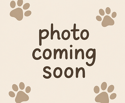 Photo Coming Soon.png