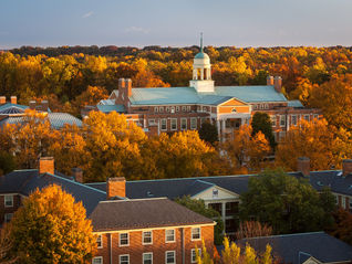 Success Stories: Into the (Wake) Forest!