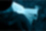 Top banner.jpg