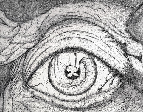 Old Eye Pointillism