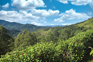 Panoramic mountain view from a property in the Chirripó Valley, with rolling green hills and sun-drenched pastures overlooking San José de Rivas, Costa Rica.