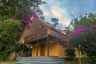 Two-story yellow home with red tile roof and wooden balcony, framed by vibrant bougainvillea and tropical forest in Pérez Zeledón, Costa Rica.