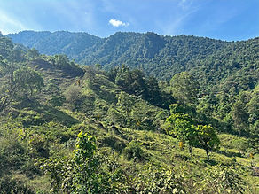 Sweeping view over National Park La Amistad, green pastures and layered mountain ranges in the Chirripó Valley, Pérez Zeledón, Costa Rica.