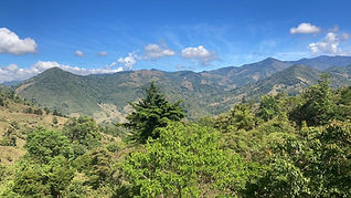 Expansive mountain view across forested hillsides and open pastures under a clear blue sky in the Chirripó Valley, Pérez Zeledón, Costa Rica.