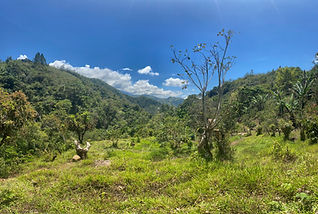 Panoramic mountain view from a property in the Chirripó Valley, with rolling green hills and sun-drenched pastures overlooking San José de Rivas, Costa Rica.