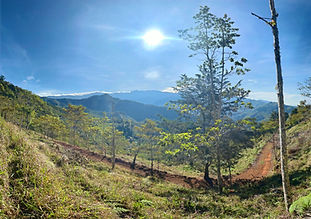 Panoramic mountain view from a property in the Chirripó Valley, with rolling green hills and sun-drenched pastures overlooking San José de Rivas, Costa Rica.