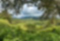 Properties in Rivas, Costa Rica