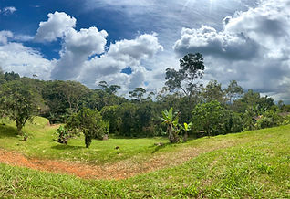 Panoramic mountain view from a property in the Chirripó Valley, with rolling green hills and sun-drenched pastures overlooking San José de Rivas, Costa Rica.