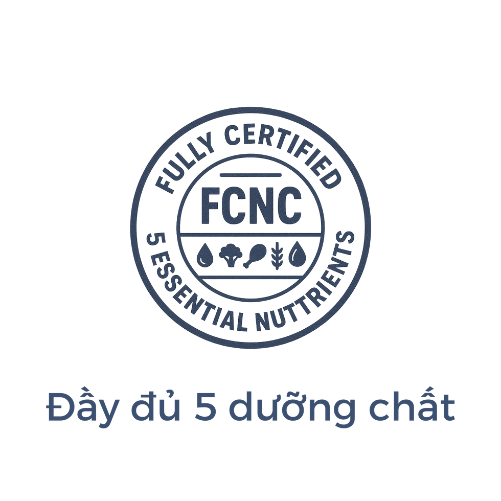 logo kn (3).png