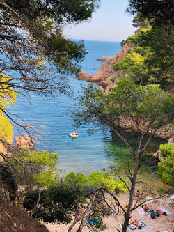 Aigua Xelida 1.jpg