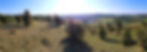 Wacholder_edited_edited.jpg