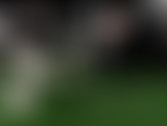 Il Burraco Online spopola nel Web