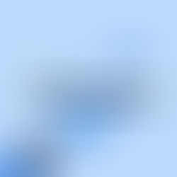 Institutional Public Relations: The Strategic Bridge Between Businesses and the Political World  