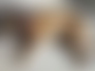 My Dog is a Karen – The Sun Belongs to Ginger