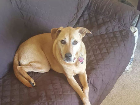 Her Dream, I’m in Trouble