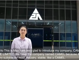 Vorstellung der Huizhou Camel Fabrik